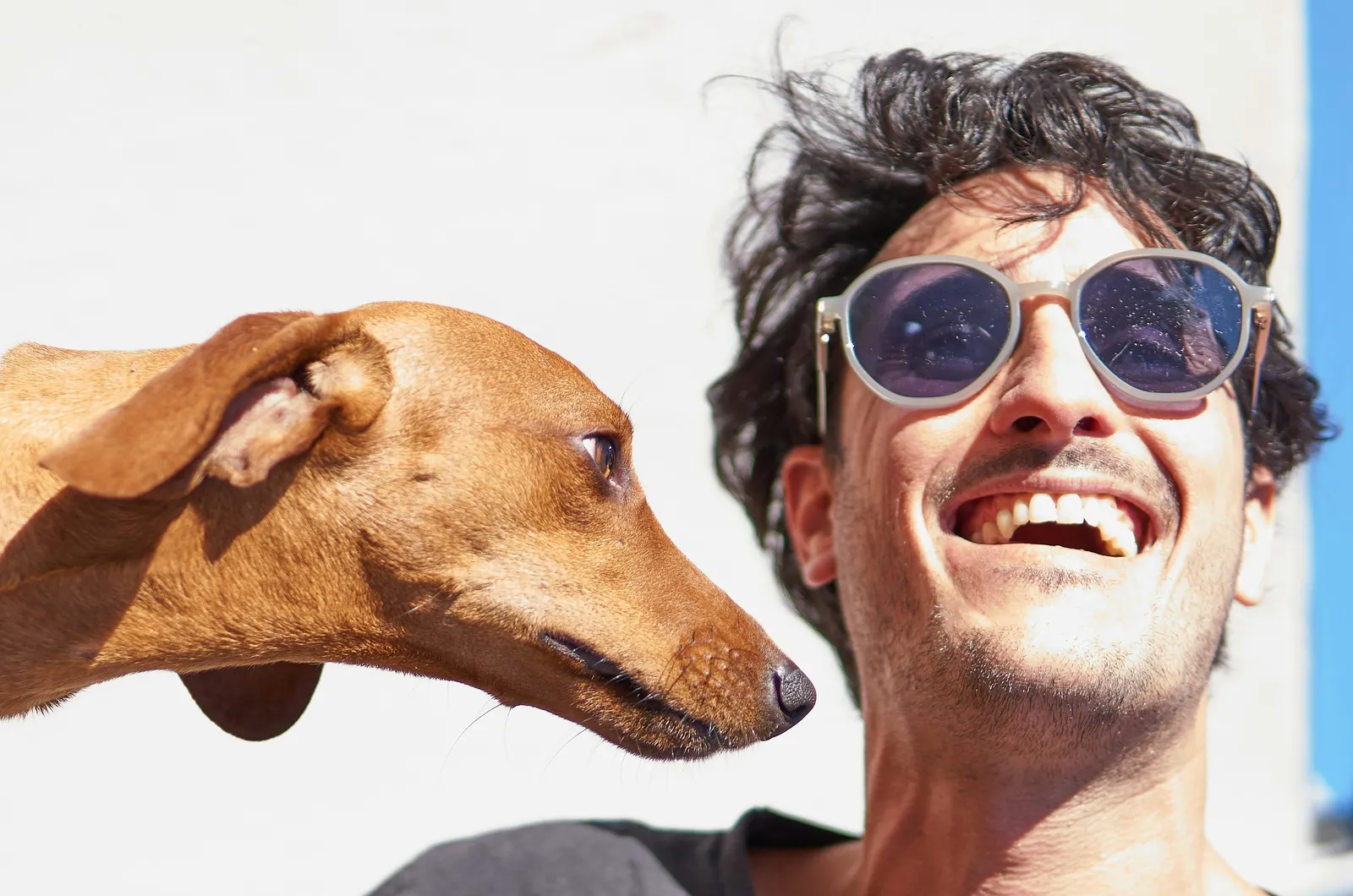 Laughing man in round sunglasses next to a brown short-haired dog in bright sunlight