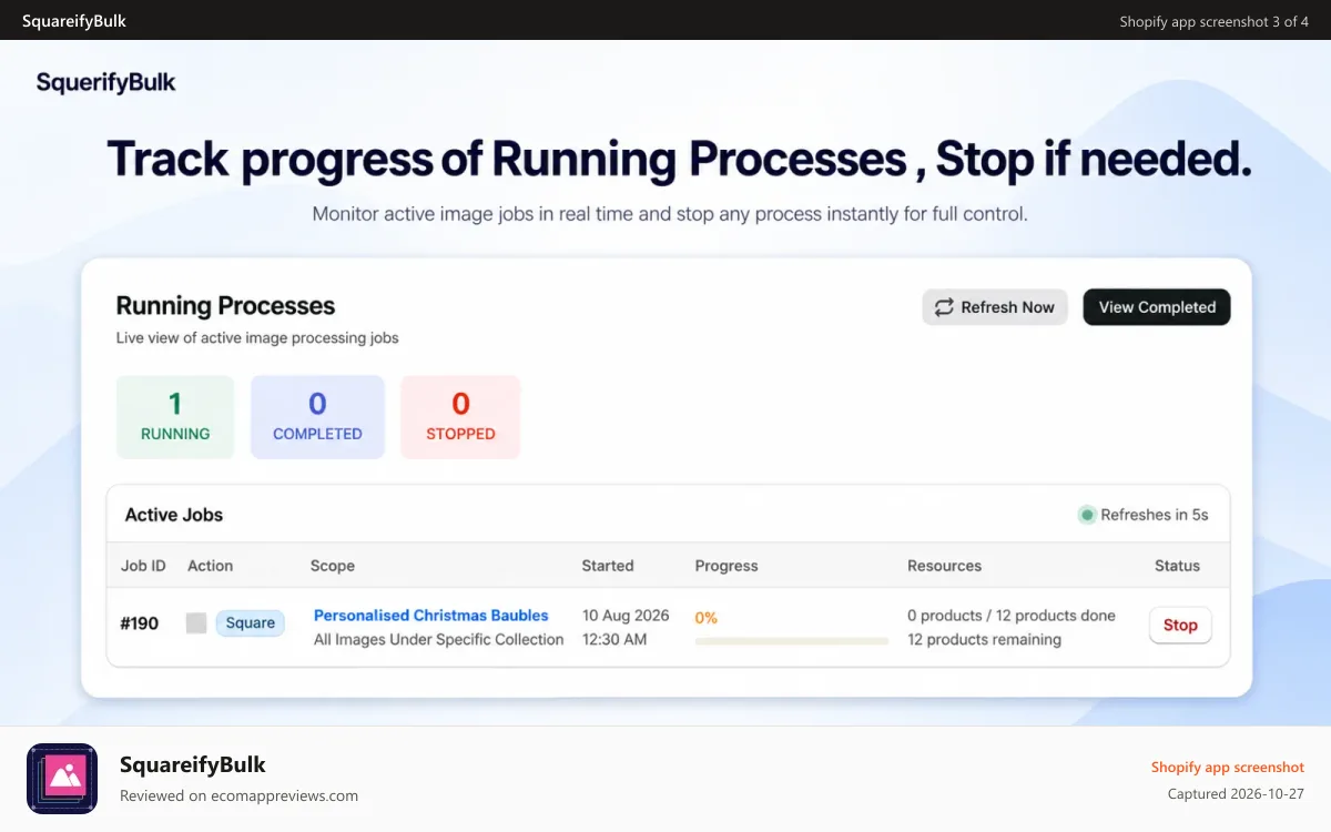 SquareifyBulk Shopify app screenshot: Track running processes