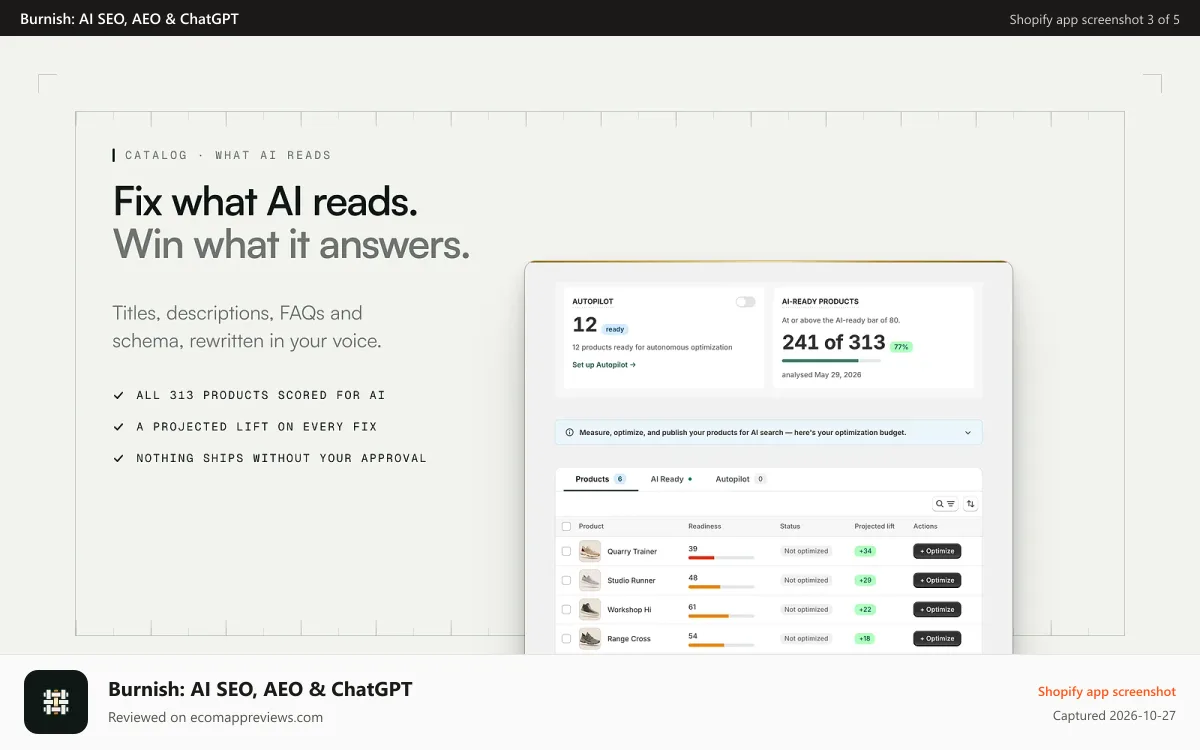 Burnish: AI SEO, AEO & ChatGPT Shopify app screenshot: Activity log: the loop ran 47 times and needs you once