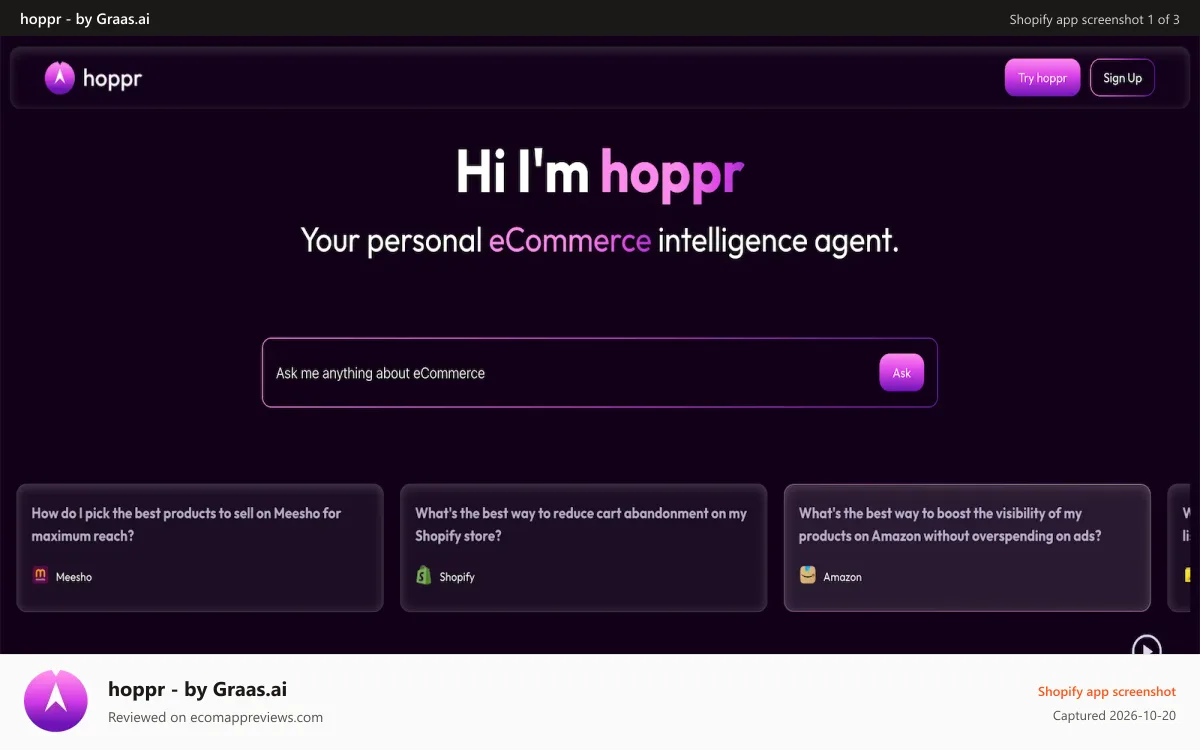 hoppr ‑ by Graas.ai Shopify app screenshot: Chat with your data
