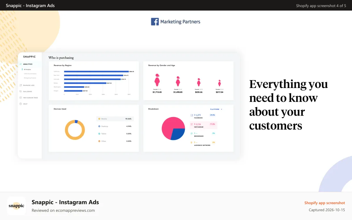 Snappic ‑ Instagram Ads Shopify app screenshot: Dashboard User Interface Detailed Analytics